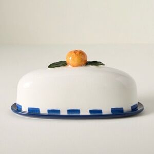 Anthropologie Valencia Citrus Stoneware Butter Dish NWT